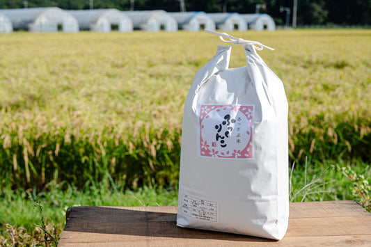 毎月届く北海道厚沢部町の食材定期便 | LifeLong GIft